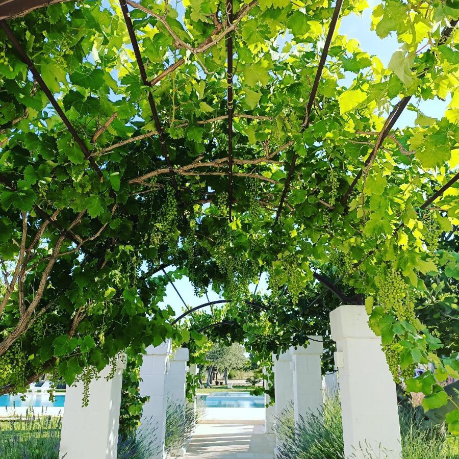 Masseria Almadava Полиньяно-а-Маре Экстерьер фото