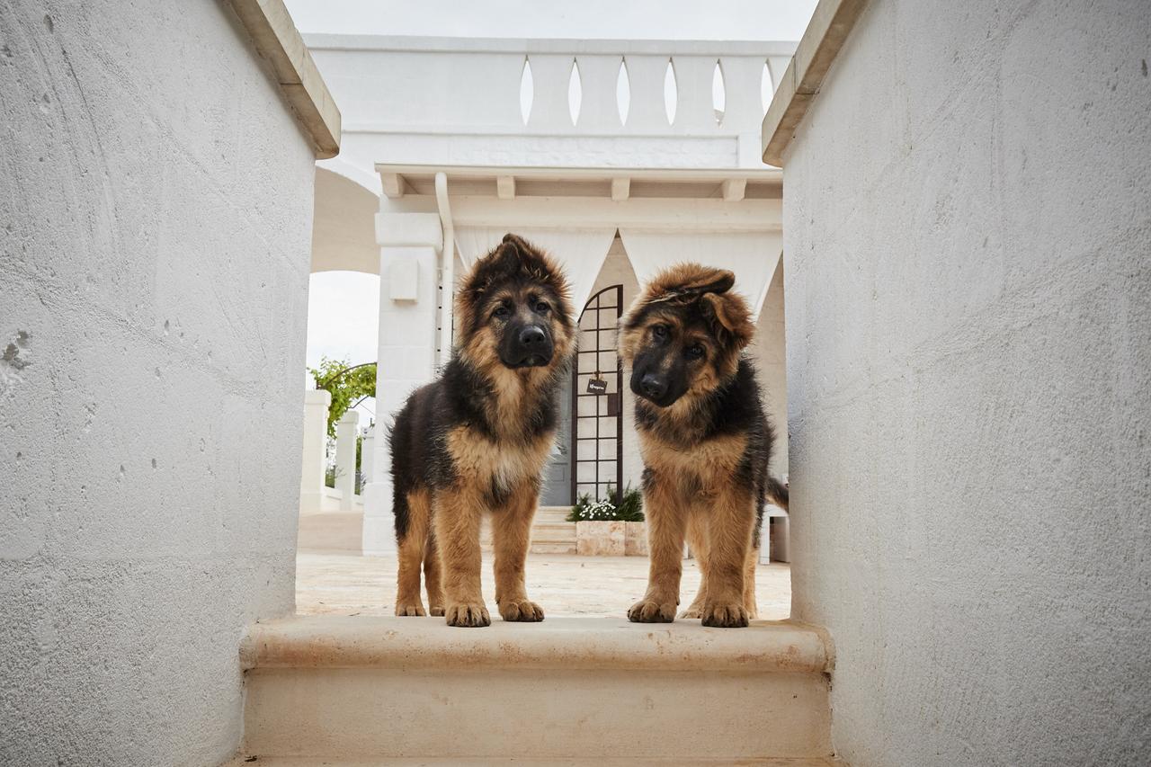 Masseria Almadava Полиньяно-а-Маре Экстерьер фото